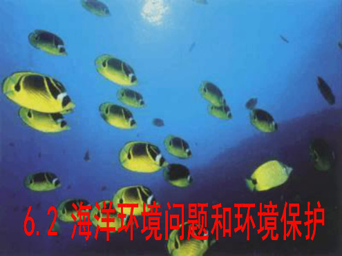 高中地理海洋环境问题和环境保护课件
