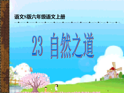 语文S版六年级上册23自然之道PPT课件