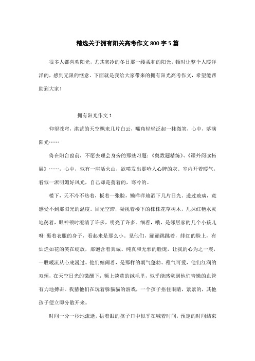 精选关于拥有阳关高考作文800字5篇