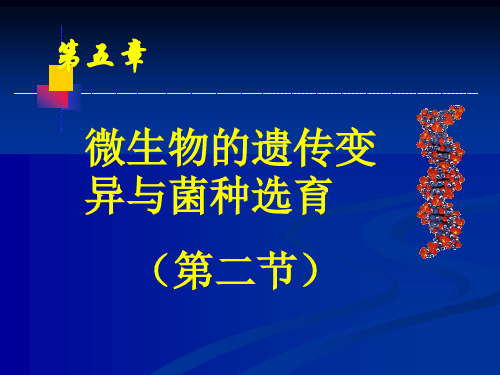 食品微生物 第5章 微生物遗传变异与菌种选育第二节