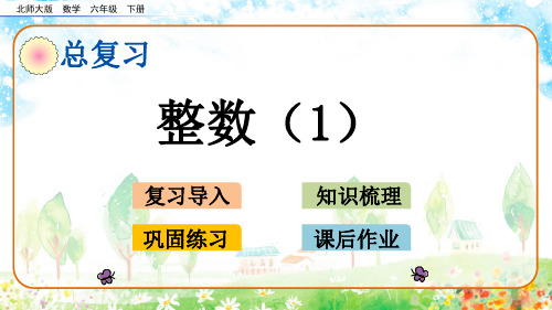 北师大版数学六年级下册总复习数与代数《整数》优质课件(2课时)
