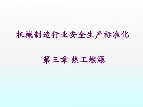 03安全标准化-热工燃爆
