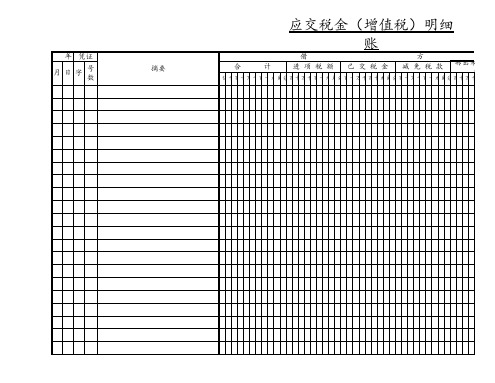 总账明细账本模板
