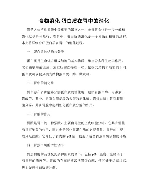 食物消化 蛋白质在胃中的消化