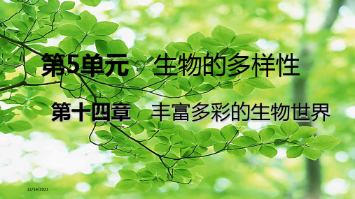 八年级生物 第十四章第一节五彩缤纷的植物世界(第2课时 苔藓植物和蕨类植物) 