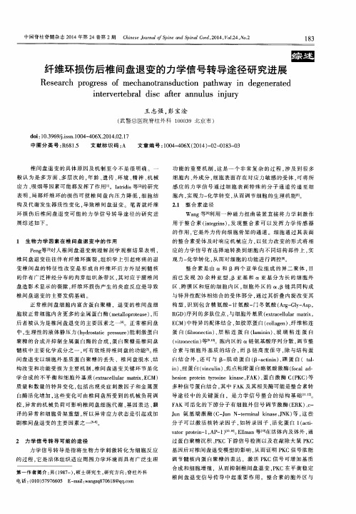 纤维环损伤后椎间盘退变的力学信号转导途径研究进展