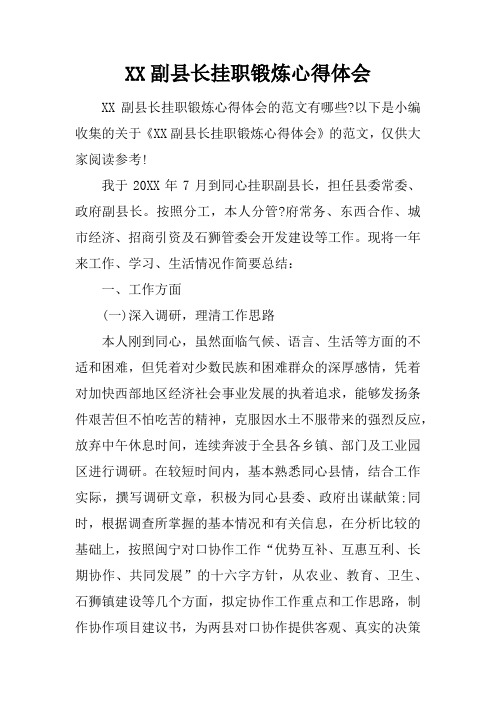 副县长挂职锻炼心得体会