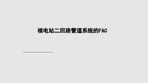 核电站二回路管道系统的FAC