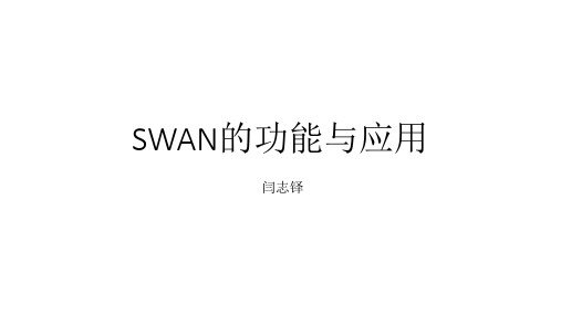 SWAN的功能与应用