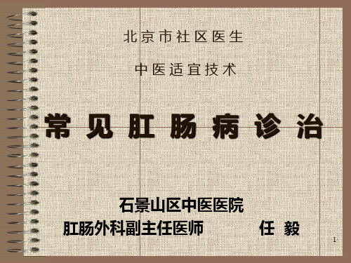 常见肛肠病PPT课件