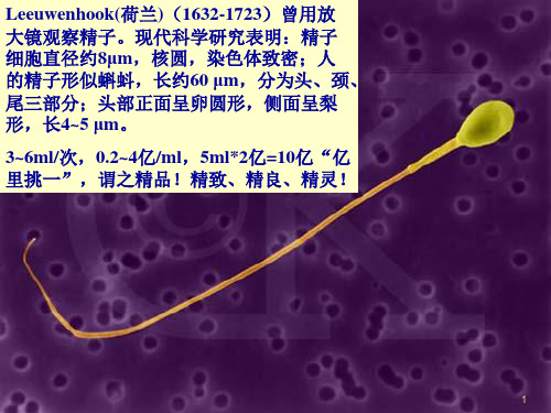 人为什么会生病ppt课件