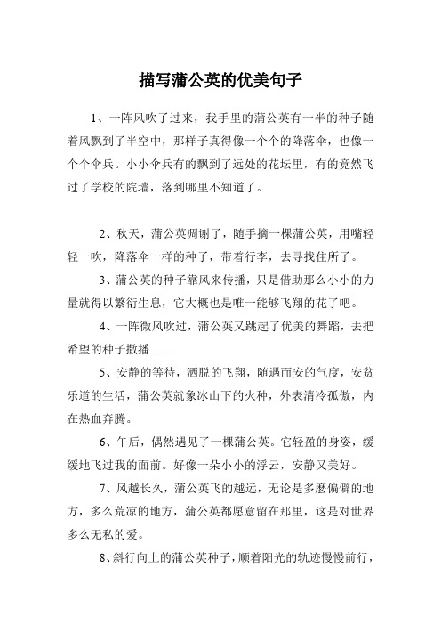 描写蒲公英的优美句子