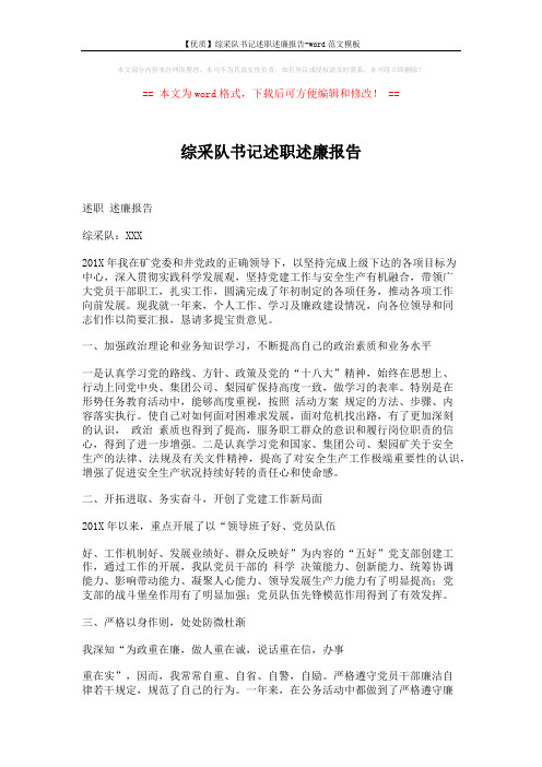 【优质】综采队书记述职述廉报告-word范文模板 (2页)