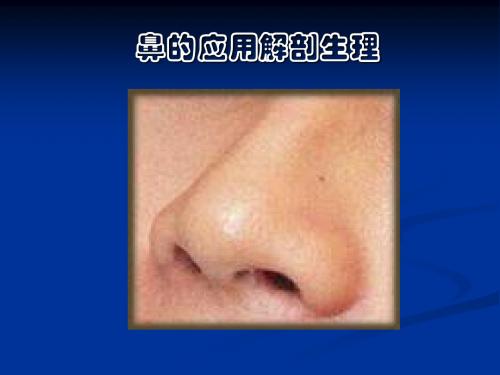 鼻应用解剖与生理课件