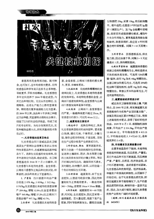 礼宏香葱越夏栽培关键技术初探