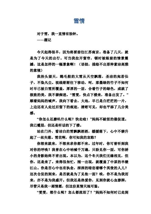 初中生满分作文：雪情
