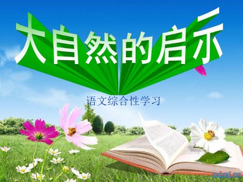 语文人教版四年级下册环境调查