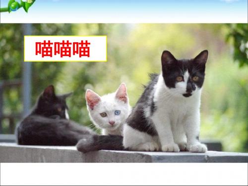 部编版三年级上册语文3年级上册14《不会叫的狗》优秀PPT2,同课异构精品2套