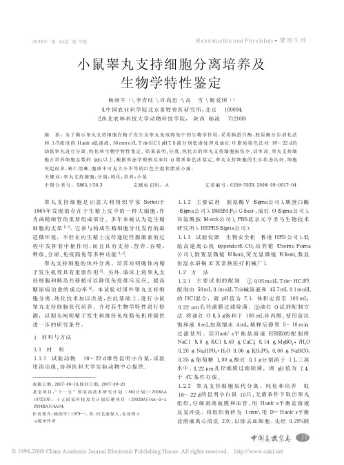 小鼠睾丸支持细胞分离培养及生物学特性鉴定