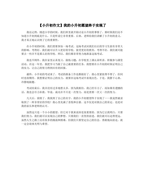 【小升初作文】我的小升初愿望终于实现了