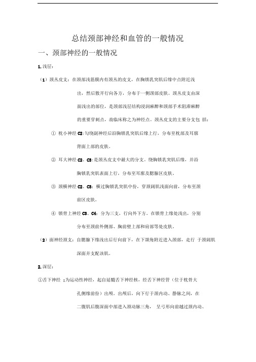 颈部血管神经的一般概况