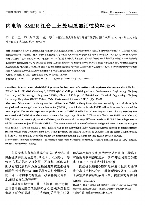 内电解-SMBR组合工艺处理蒽醌活性染料废水