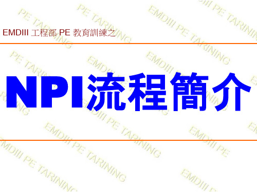 PE 教育训练教材之NPI流程简介