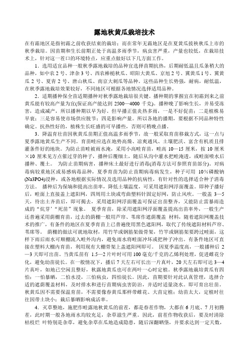 秋黄瓜栽培06