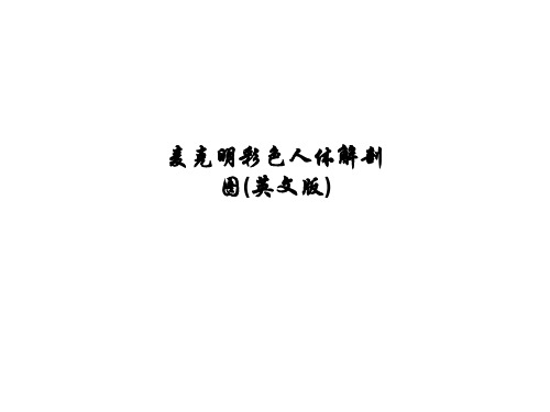 [医学]麦克明彩色人体解剖图(英文版)