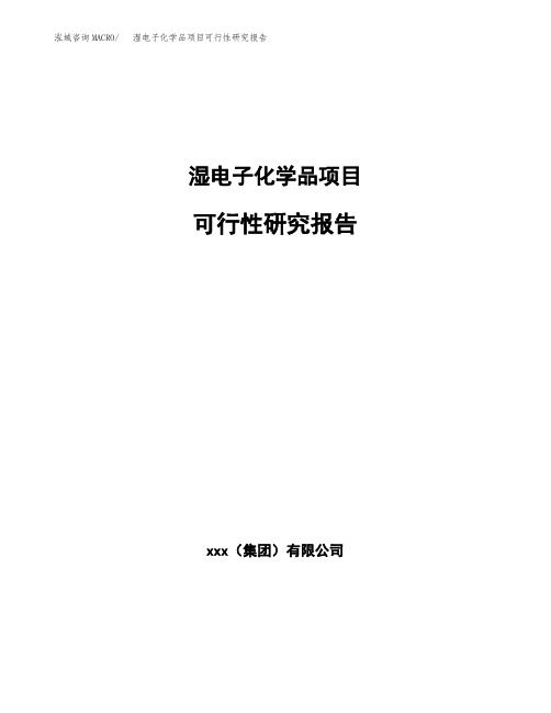 湿电子化学品项目可行性研究报告(参考模板范文)