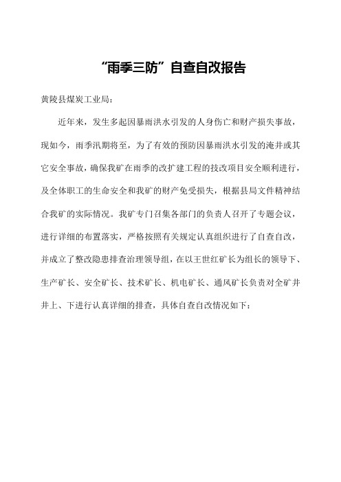 “雨季三防”自查自改报告