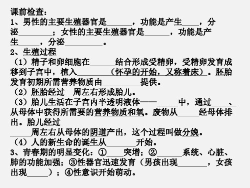 人的由来复习ppt课件