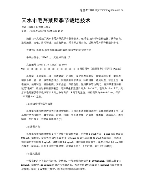 天水市毛芹菜反季节栽培技术