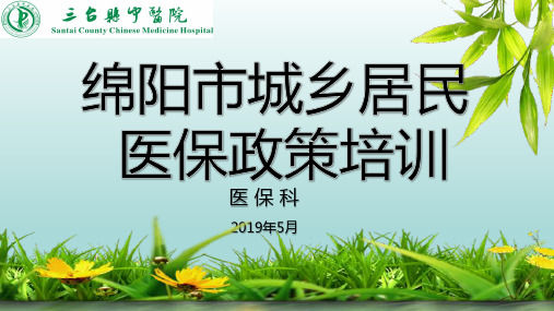 2019医保培训ppt课件
