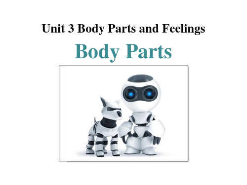 《Body Parts》Body Parts and Feelings.ppt