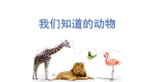 一年级下册科学_《我们知道的动物》教科版(7张)标准课件