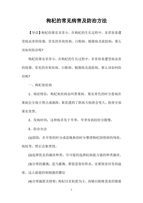 枸杞的常见病害及防治方法