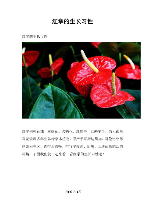 红掌的生长习性