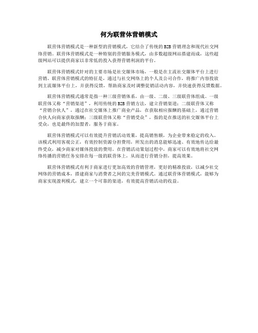 何为联营体营销模式