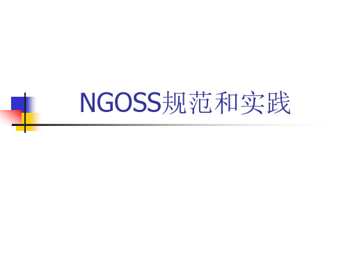 ngoss规范和实践(精)