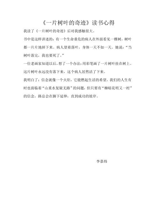 一片树叶的奇迹读后感