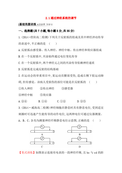 人教版高二生物必修三练习2.1通过神经系统的调节(学生版)