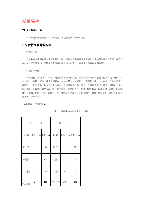 新疆褐牛