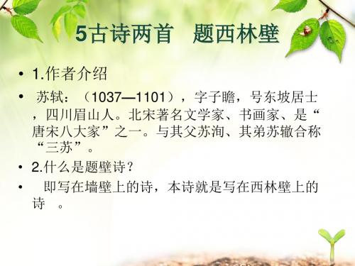 《题西林壁》