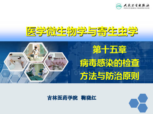 第十五章  病毒感染的检查方法与防治原则