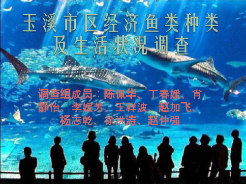 玉溪市鱼类种类调查报告