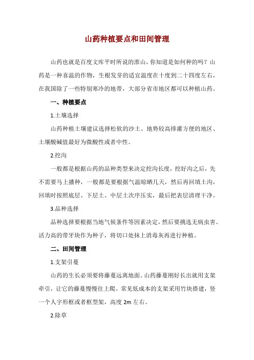 山药种植要点和田间管理