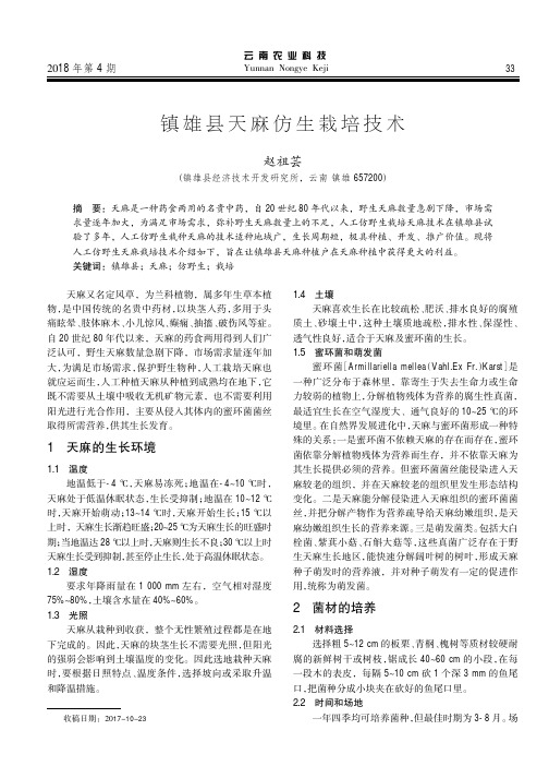 镇雄县天麻仿生栽培技术