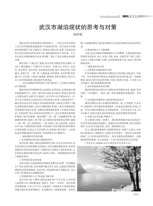 武汉市湖泊现状的思考与对策