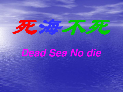 23(原创)《死海不死》